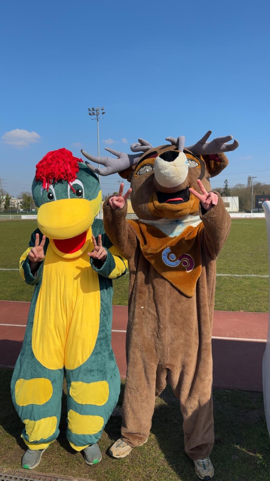 courses mascottes